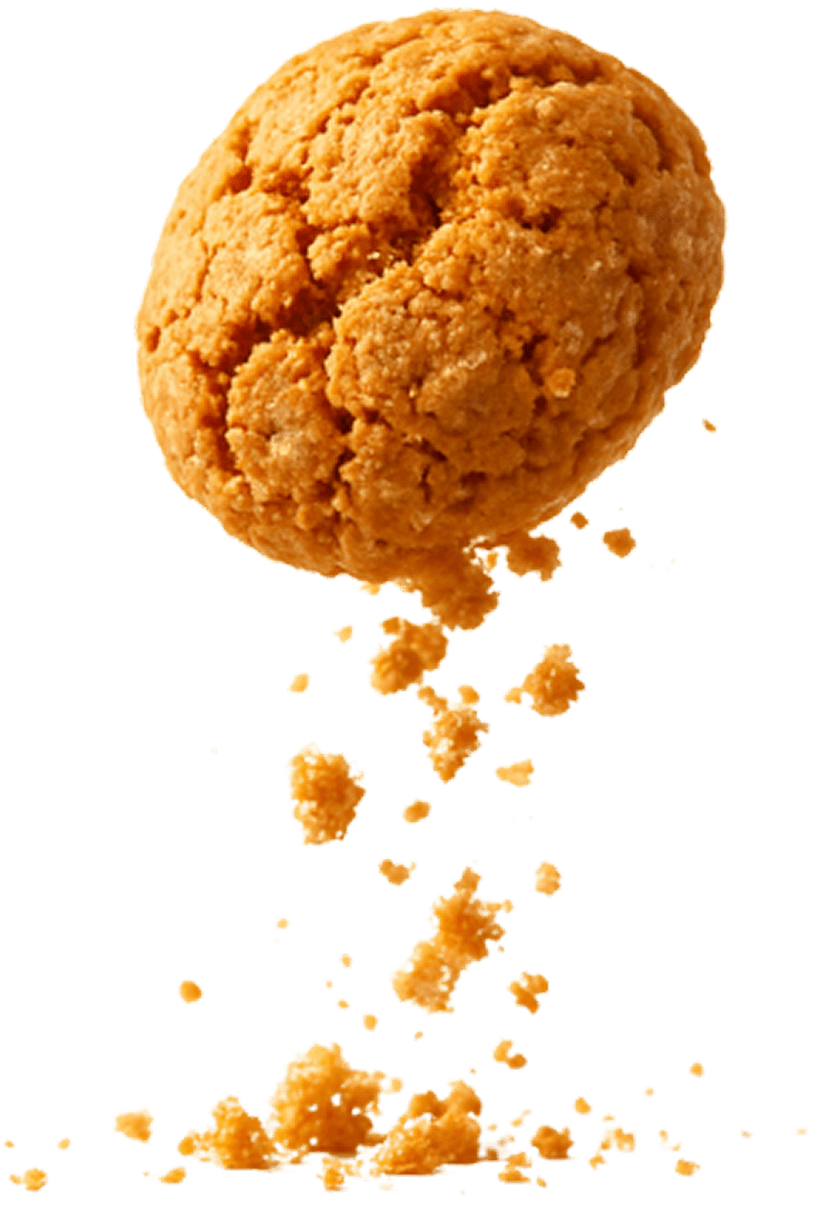 Immagine di anteprima